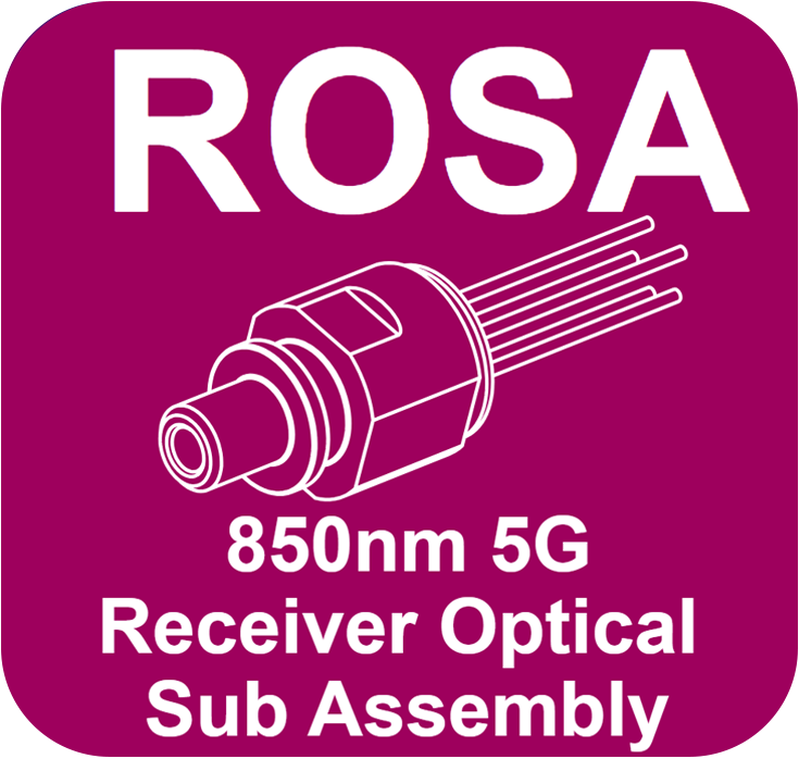 10g-rosa-button